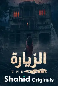 Визит (сериал 2025)